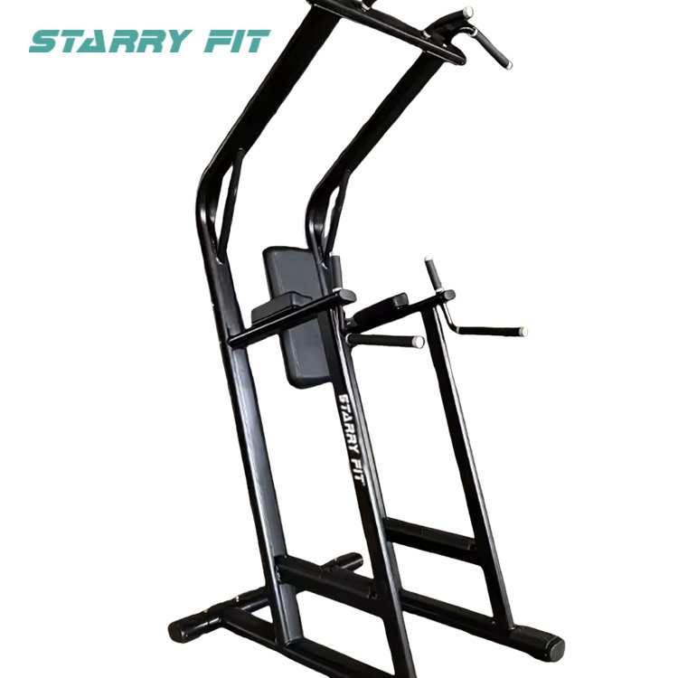 レッグレイズ<br />LF-L-SCDLR レッグレイズ<br />LF-L-SCDLR