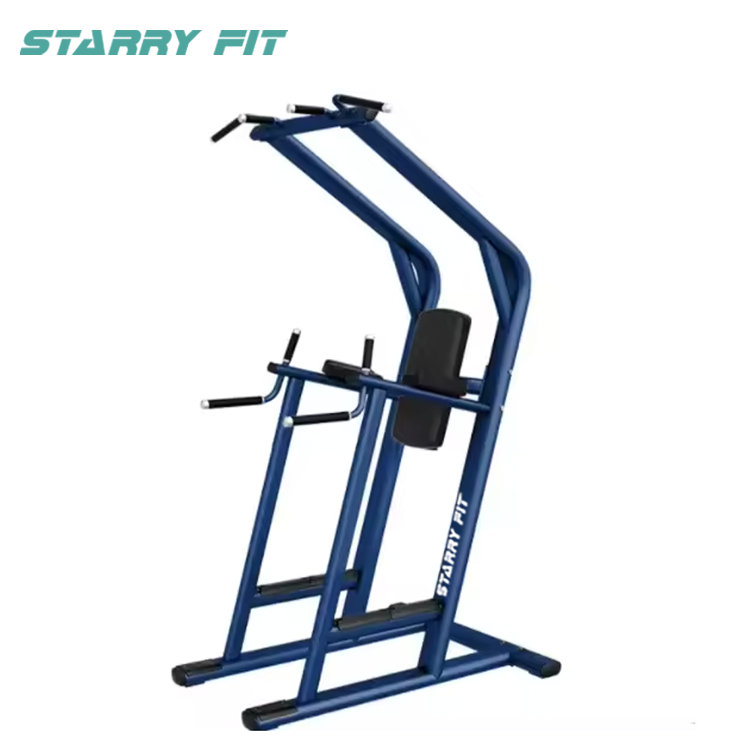 レッグレイズ<br />LF-L-SCDLR レッグレイズ<br />LF-L-SCDLR