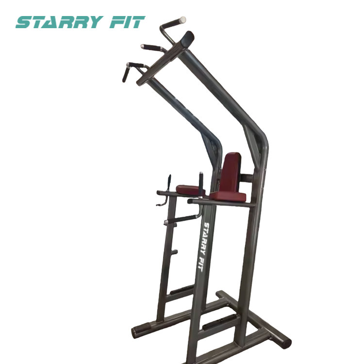 レッグレイズ<br />LF-L-SCDLR レッグレイズ<br />LF-L-SCDLR