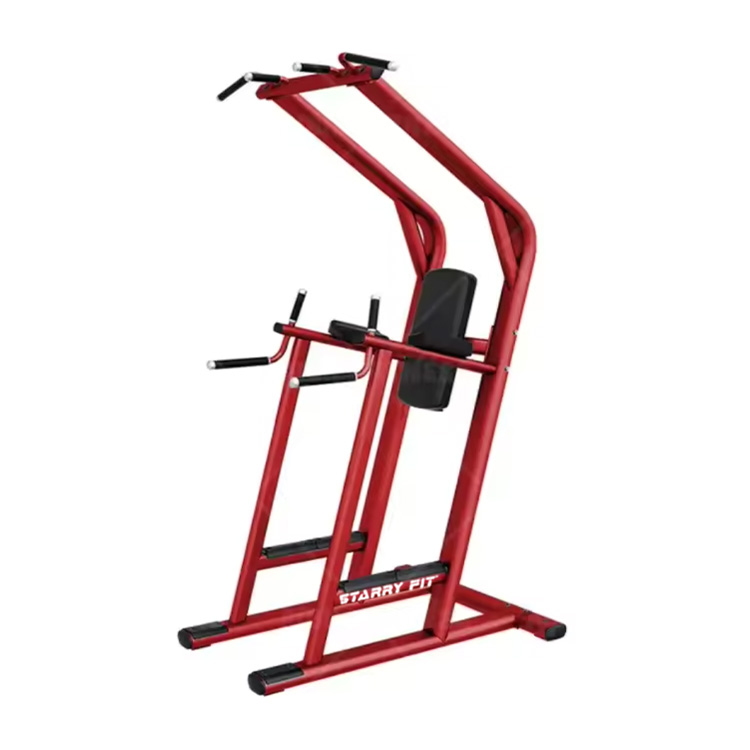 レッグレイズ<br />LF-L-SCDLR