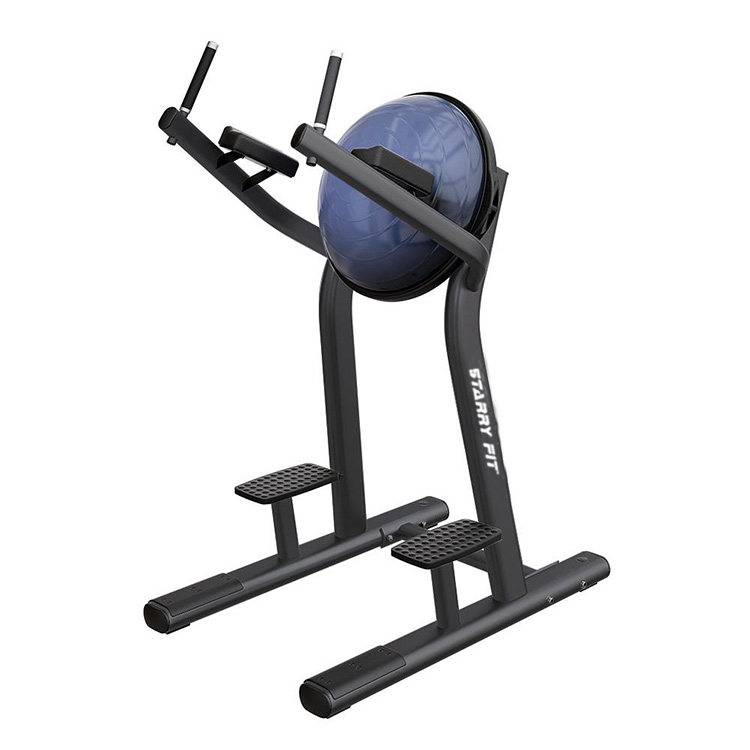 レッグレイズ<br />LF-R-SLR